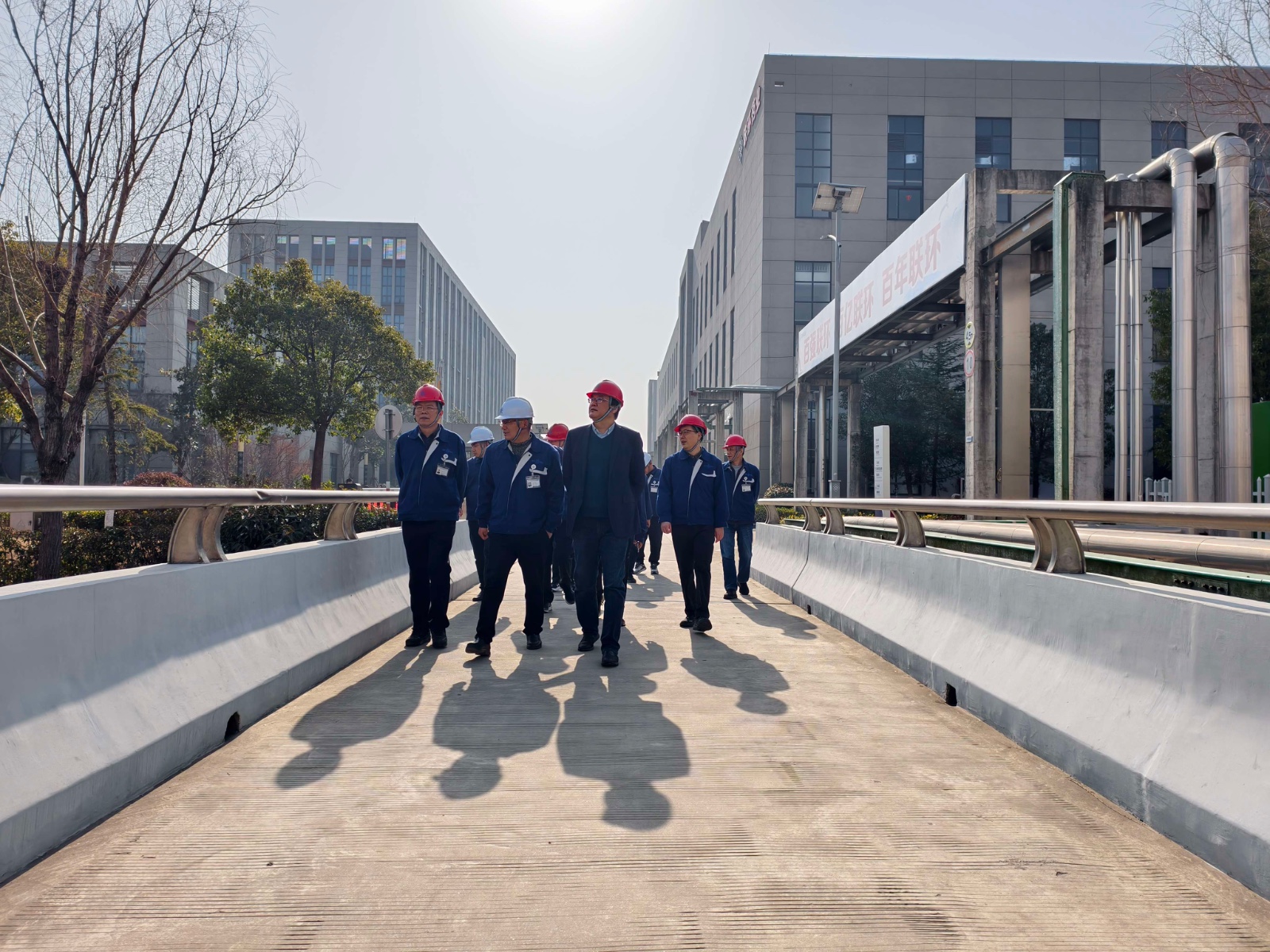 13416479907030607.jpg.jpeg 13416479907030607.jpg.jpeg